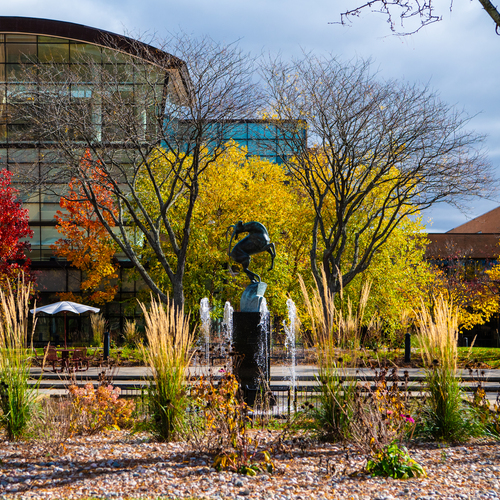 Picture of SVSU Trees During Fall